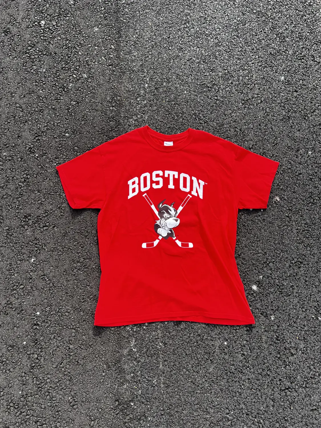 Boston Hockey Large