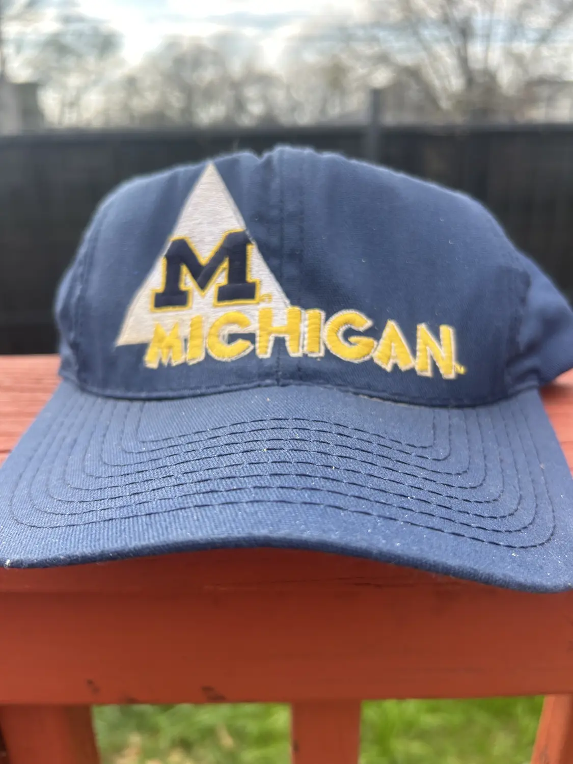 Michigan Vintage 90s