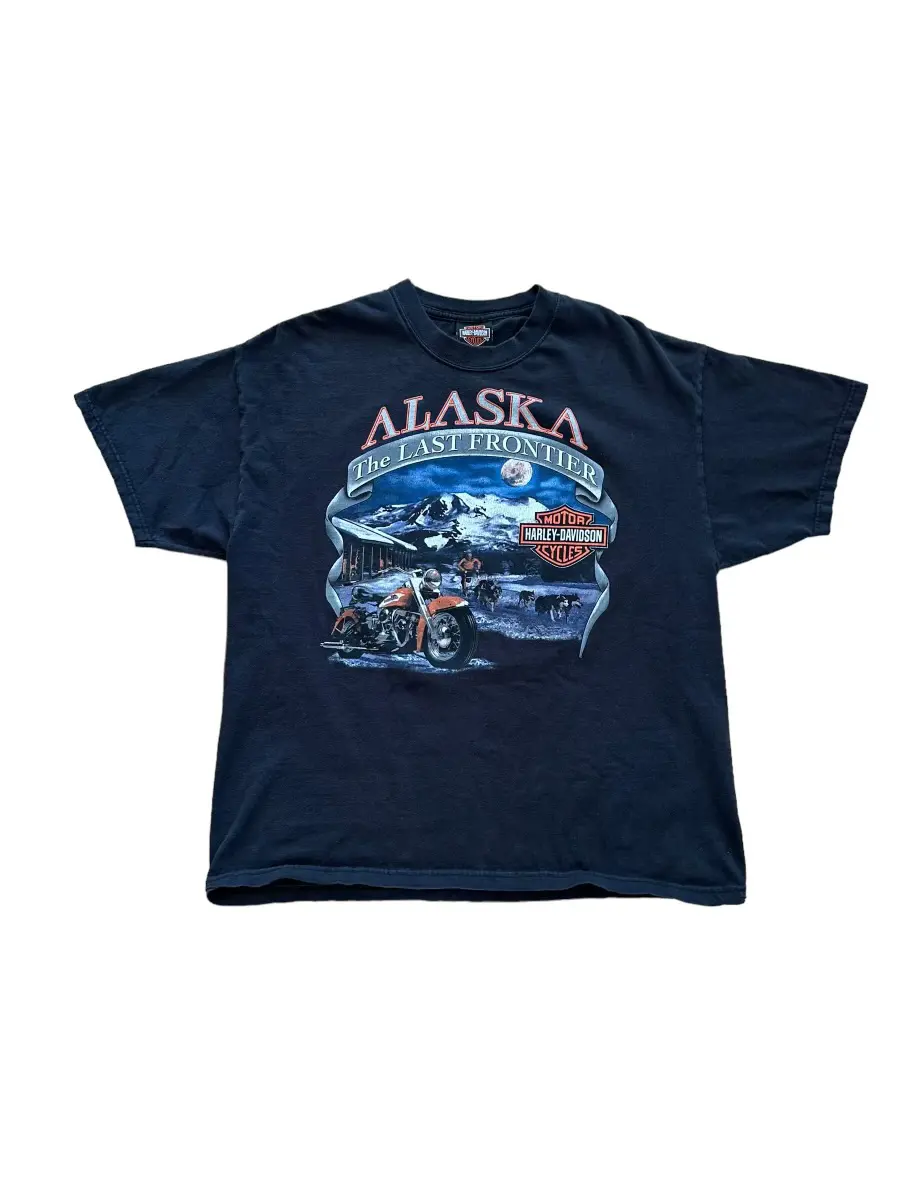 Vintage Harley Davidson Alaska T-Shirt