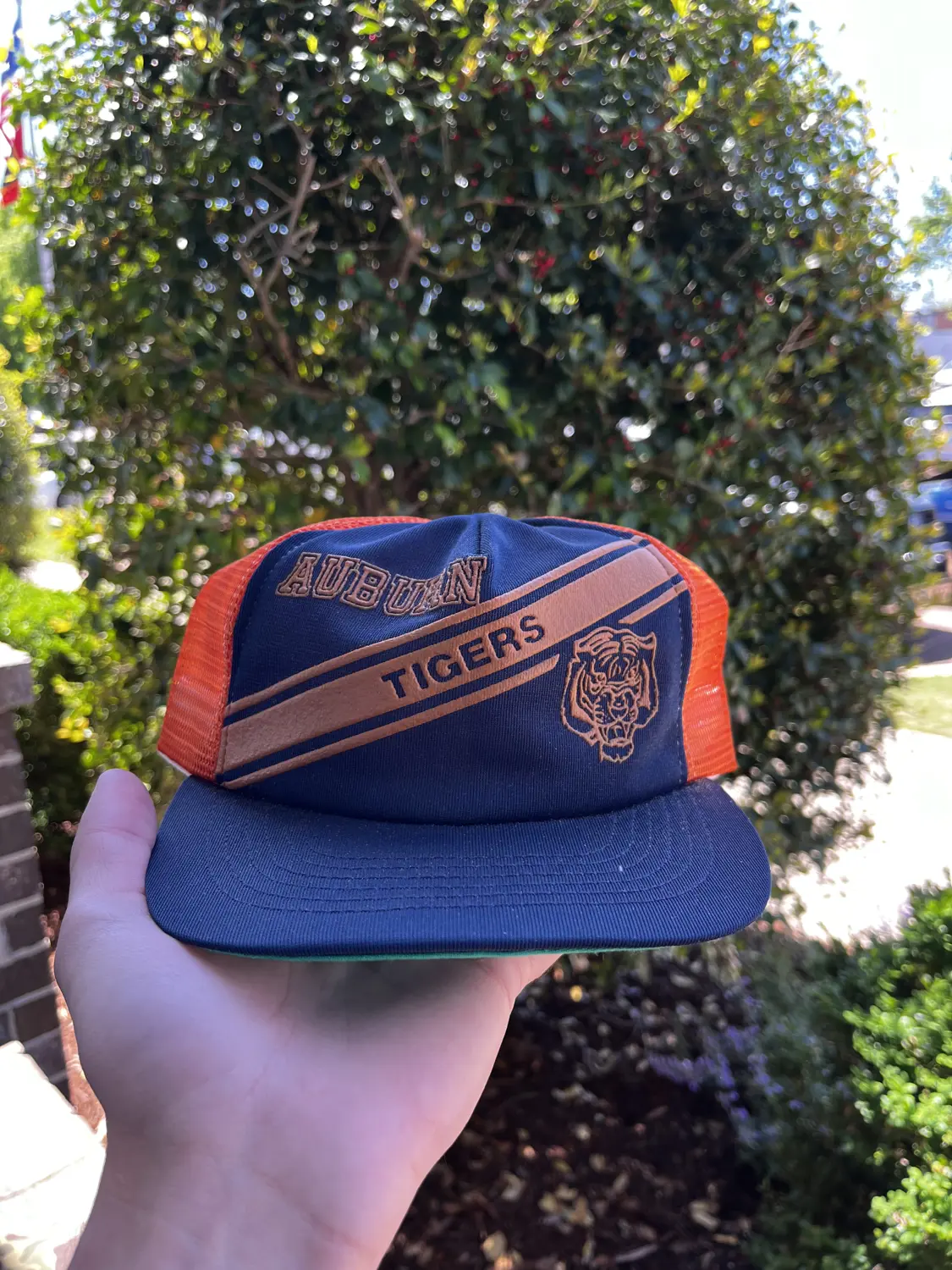 Auburn tigers hat